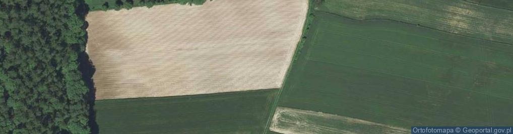 Zdjęcie satelitarne Wilcza ul.