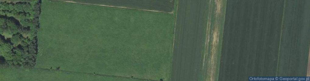 Zdjęcie satelitarne Wilcza ul.