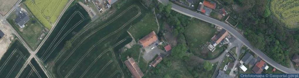 Zdjęcie satelitarne Wilków ul.