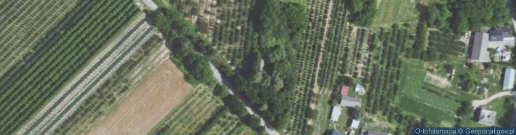 Zdjęcie satelitarne Wilkowice ul.