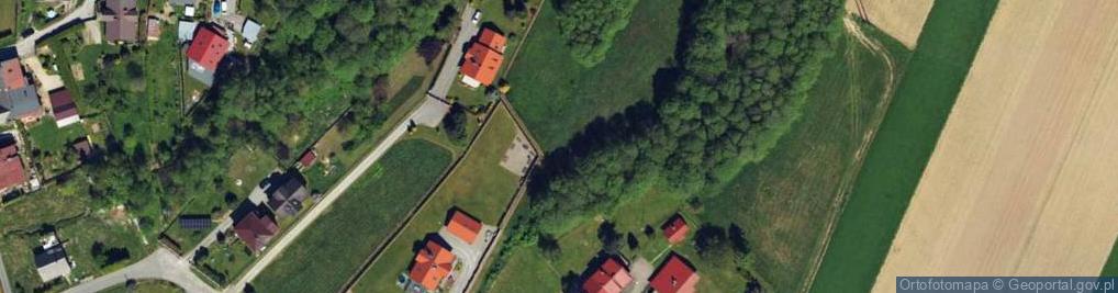 Zdjęcie satelitarne Wilkowska ul.