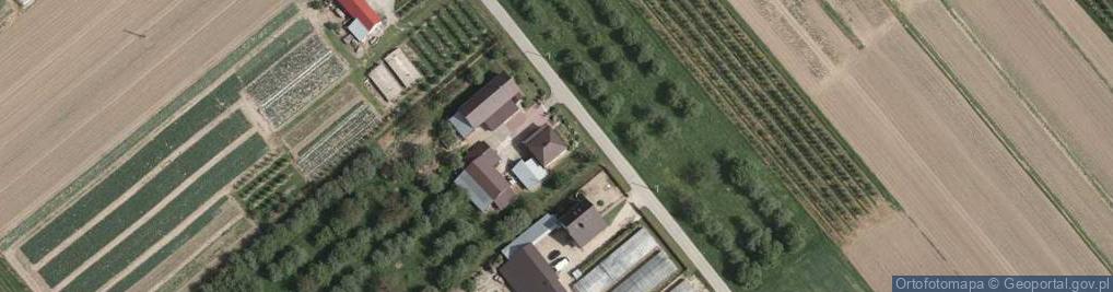 Zdjęcie satelitarne Winiary ul.