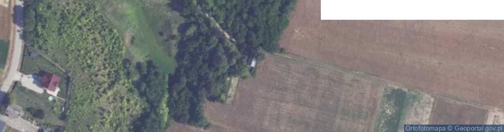Zdjęcie satelitarne Winiary ul.