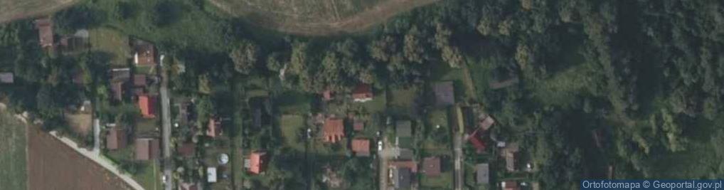 Zdjęcie satelitarne Winiary ul.