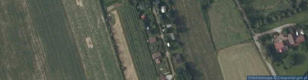Zdjęcie satelitarne Winiary ul.