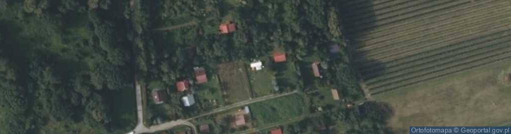 Zdjęcie satelitarne Winiary ul.