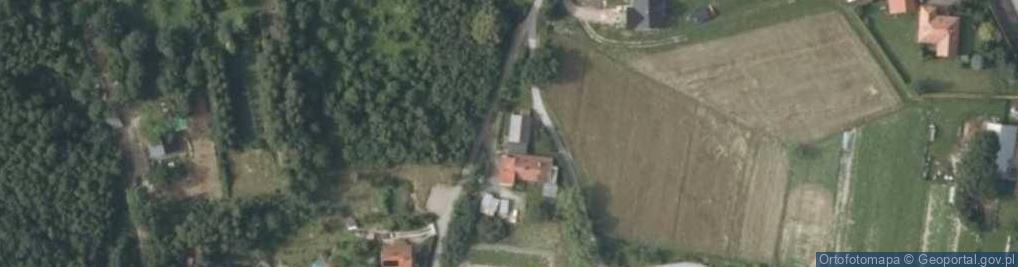 Zdjęcie satelitarne Winiary ul.