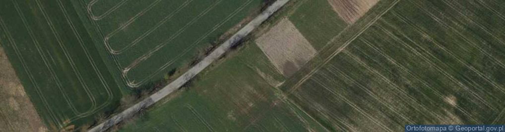 Zdjęcie satelitarne Wirwilty ul.