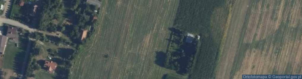 Zdjęcie satelitarne Wiśniew-Kolonia ul.