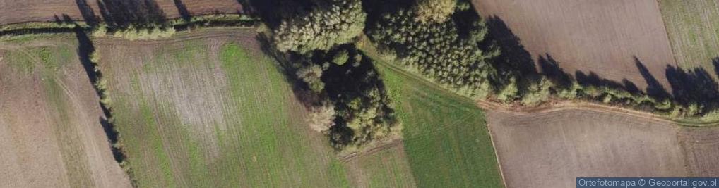 Zdjęcie satelitarne Wiszczelice ul.