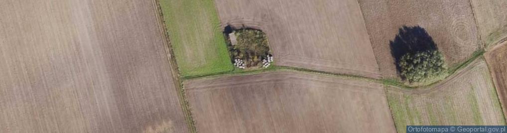 Zdjęcie satelitarne Wiszczelice ul.