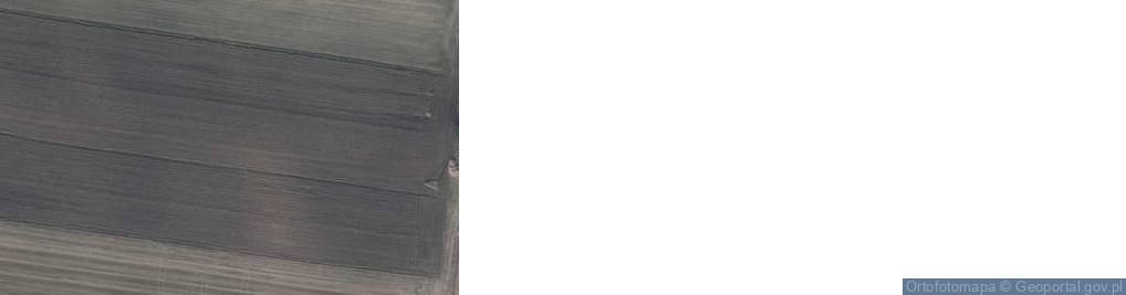 Zdjęcie satelitarne Witków ul.