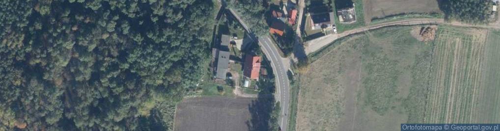 Zdjęcie satelitarne Witkówki ul.