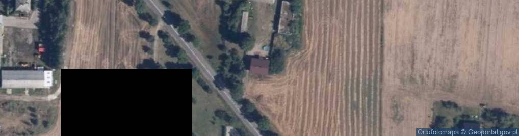 Zdjęcie satelitarne Witkowo ul.