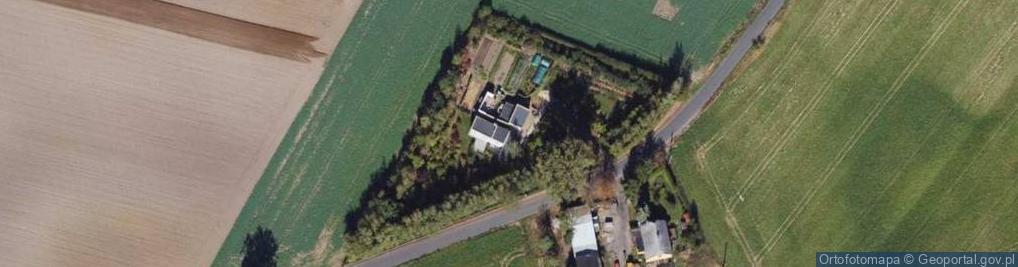 Zdjęcie satelitarne Witkowo ul.