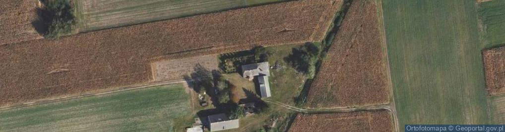 Zdjęcie satelitarne Witkowo ul.