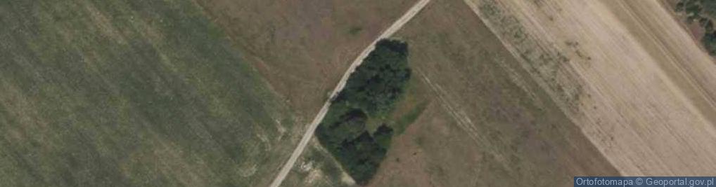 Zdjęcie satelitarne Witoldów ul.