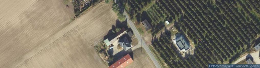 Zdjęcie satelitarne Witoldowo ul.