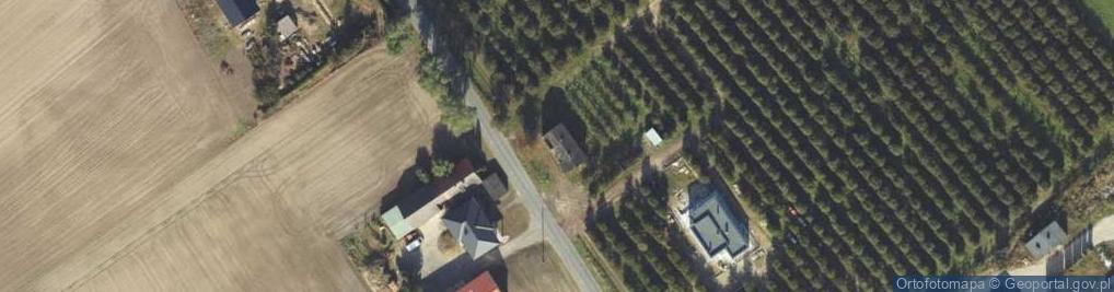 Zdjęcie satelitarne Witoldowo ul.