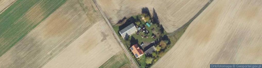 Zdjęcie satelitarne Witoldowo ul.