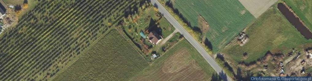 Zdjęcie satelitarne Witoldowo ul.