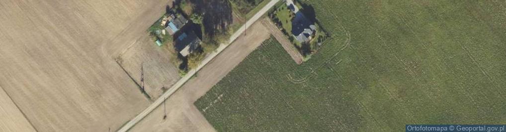Zdjęcie satelitarne Witoldowo ul.