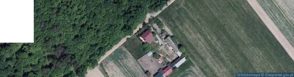 Zdjęcie satelitarne Witulin ul.