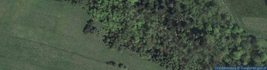 Zdjęcie satelitarne Widokowa ul.