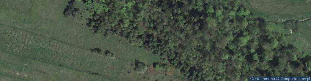 Zdjęcie satelitarne Widokowa ul.