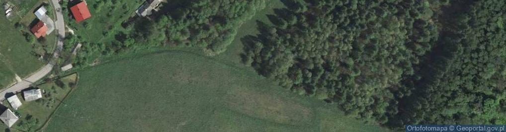 Zdjęcie satelitarne Widokowa ul.