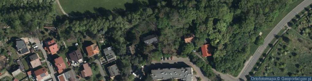 Zdjęcie satelitarne Witkowska ul.