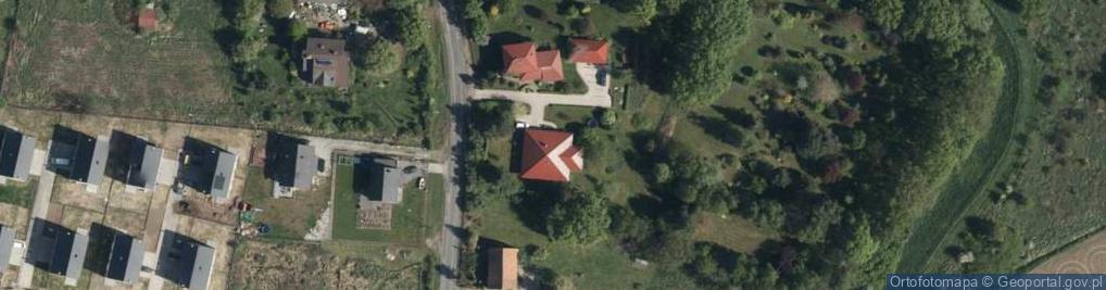 Zdjęcie satelitarne Wilkszyńska ul.