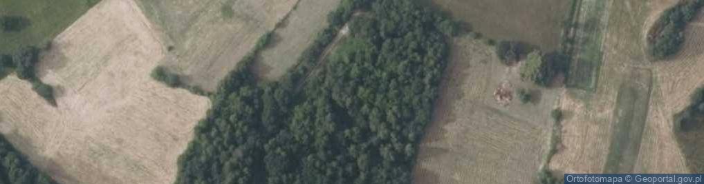 Zdjęcie satelitarne Widokowa ul.