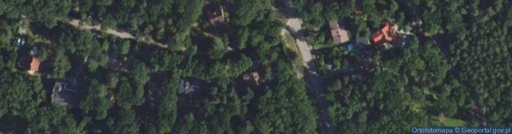 Zdjęcie satelitarne Wiekowej Sosny ul.