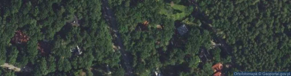 Zdjęcie satelitarne Wiekowej Sosny ul.