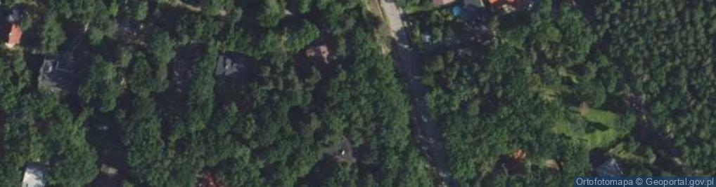 Zdjęcie satelitarne Wiekowej Sosny ul.