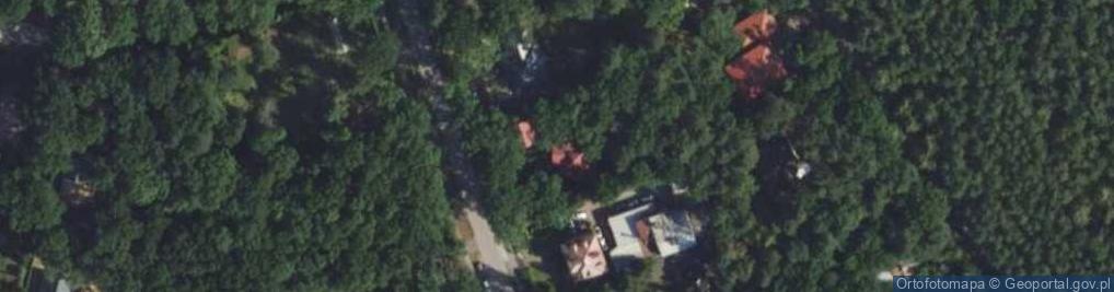 Zdjęcie satelitarne Wiekowej Sosny ul.