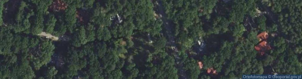 Zdjęcie satelitarne Wiekowej Sosny ul.