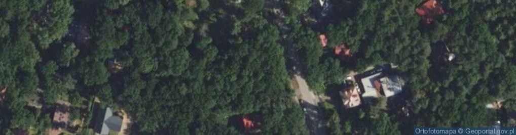 Zdjęcie satelitarne Wiekowej Sosny ul.