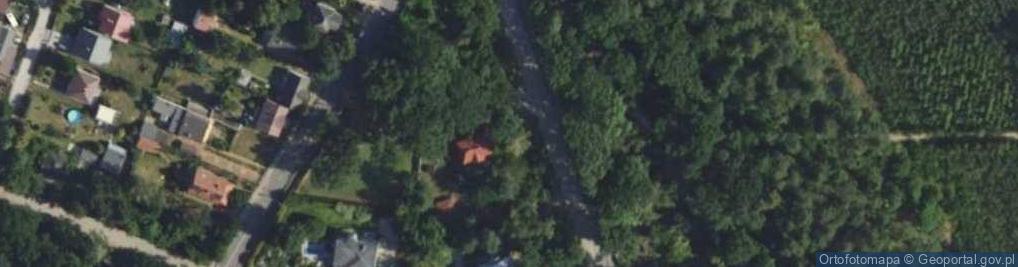 Zdjęcie satelitarne Wiekowej Sosny ul.