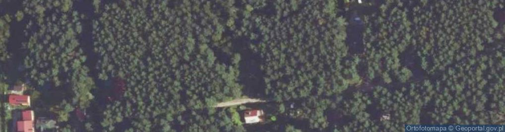Zdjęcie satelitarne Wiejska ul.