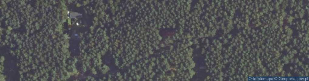 Zdjęcie satelitarne Wiejska ul.