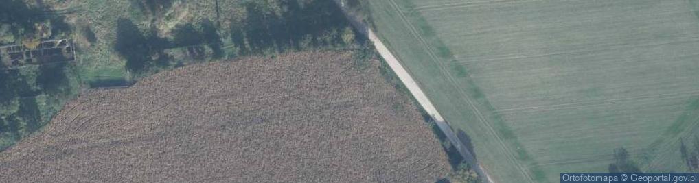 Zdjęcie satelitarne Wioślarska ul.