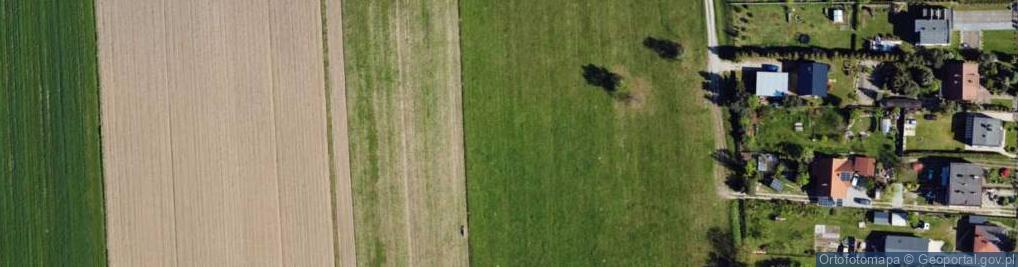 Zdjęcie satelitarne Witosa Wincentego ul.