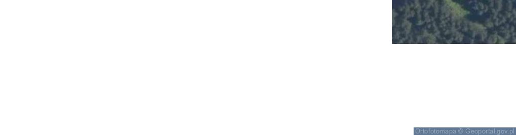 Zdjęcie satelitarne Wierzbowa ul.