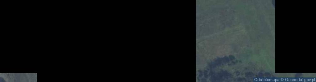 Zdjęcie satelitarne Wilczyska ul.