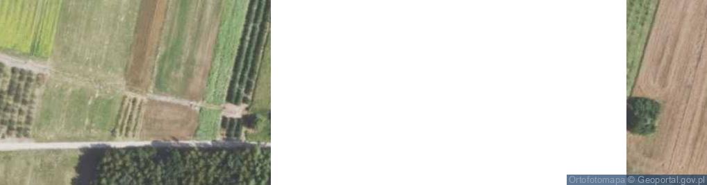 Zdjęcie satelitarne Wnorów ul.