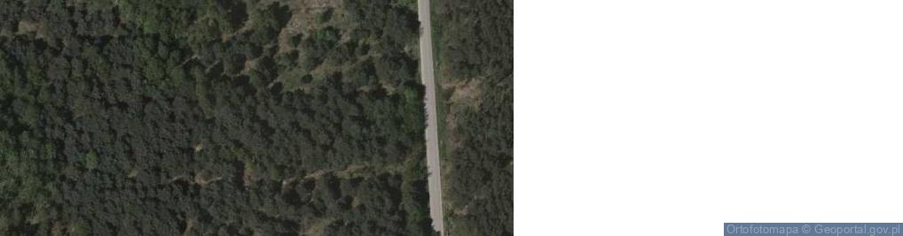 Zdjęcie satelitarne Wolności ul.