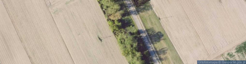 Zdjęcie satelitarne Wojska Polskiego ul.