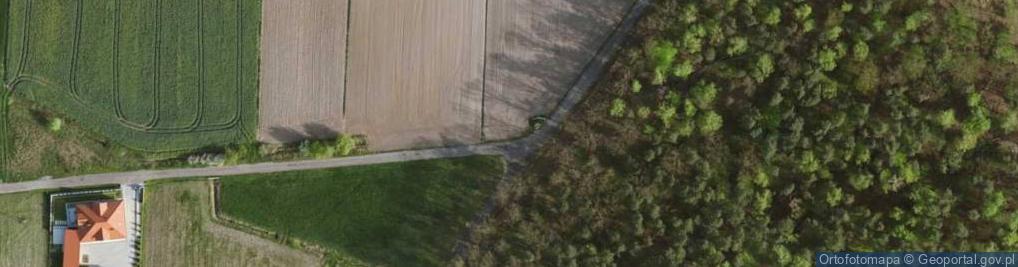 Zdjęcie satelitarne Wójtowska ul.